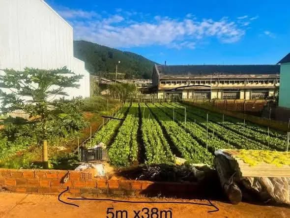 Đất thổ cư Hiệp An, Đức Trọng 190m² giá 1.75 tỷ - Đầu tư sinh lời ngay!