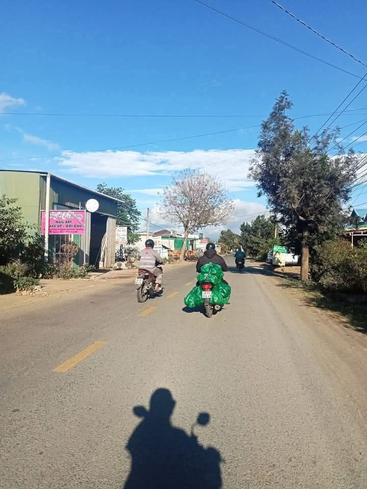 Đất nền Tân Hội Đức Trọng 800m² giá 3 tỷ - Đường nhựa chính, khu dân cư đông đúc!