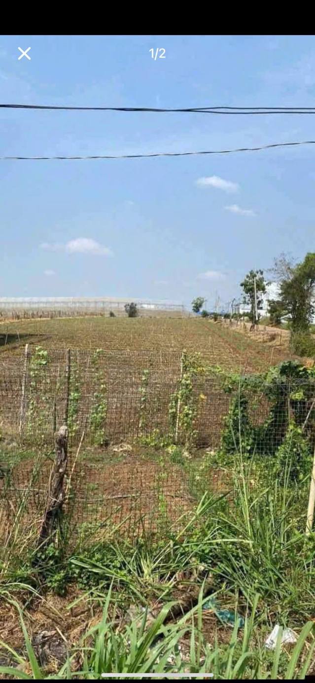 Đất nền 2 mặt tiền đường DH1 Đức Trọng 399m² giá 3.6 tỷ - Cơ hội đầu tư hiếm có!