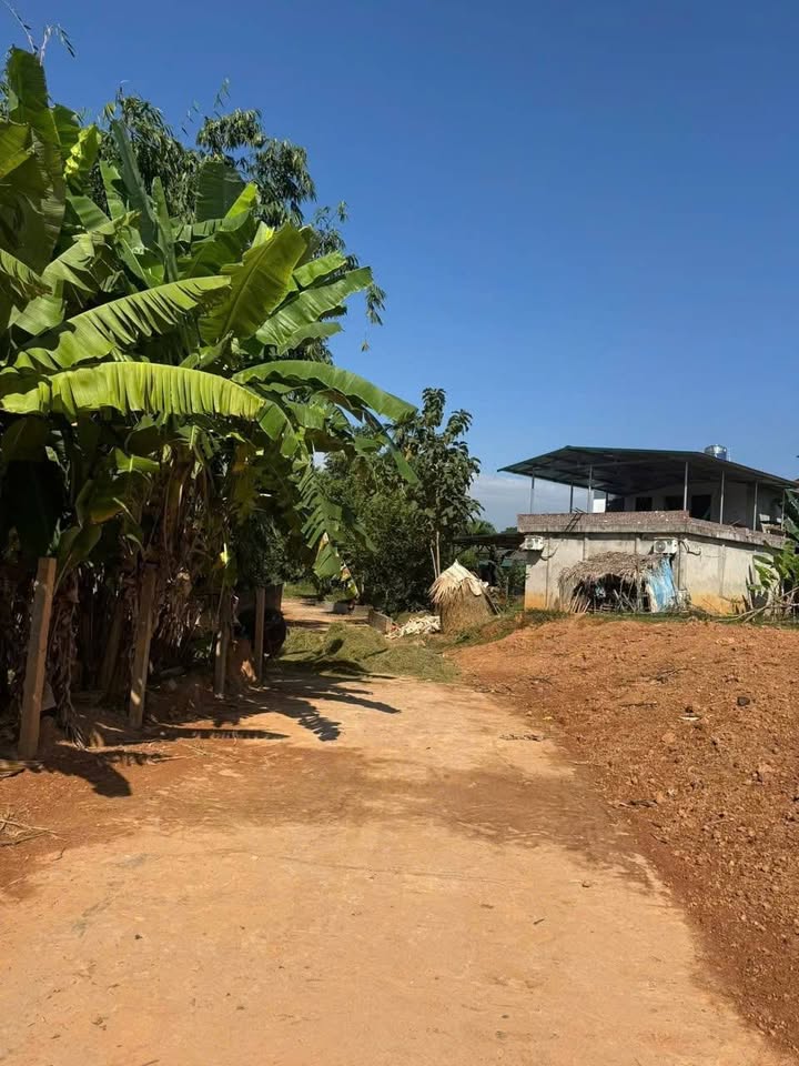 Đất thổ cư Lưỡng Vượng, Tuyên Quang 200m² - Đầu tư sinh lời tuyệt vời!