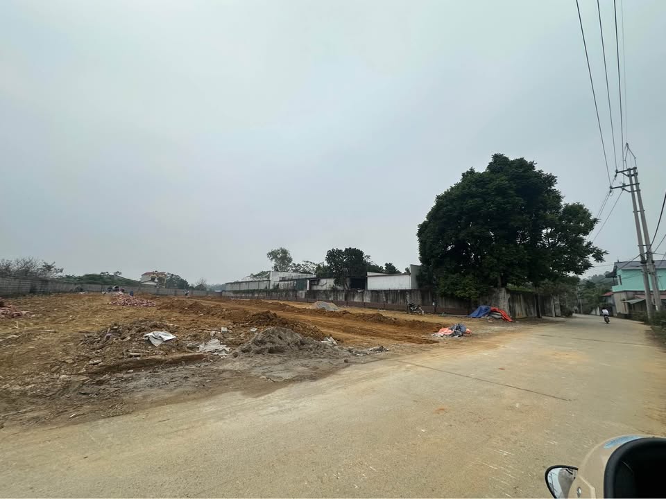 Đất thổ cư 100m² tại Phú Cát, Quốc Oai - Sổ đỏ chính chủ, giá chỉ 3 tỷ!