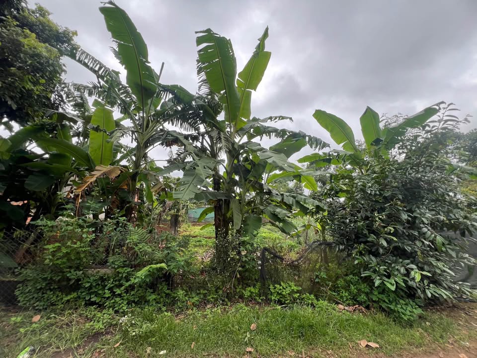 Lô đất hẻm 555 Phạm Văn Đồng 280m² giá 2.07 tỷ - Tiềm năng đầu tư lớn!