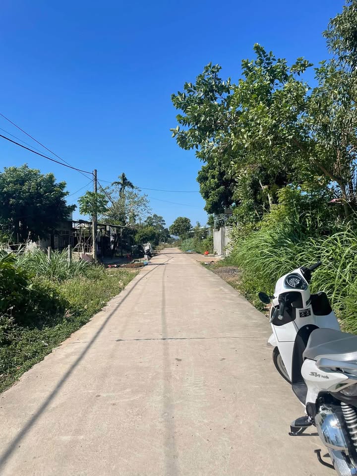 Đất thổ cư xã Vinh Quang 260m² giá 550 triệu - Vị trí đắc địa gần trường học!