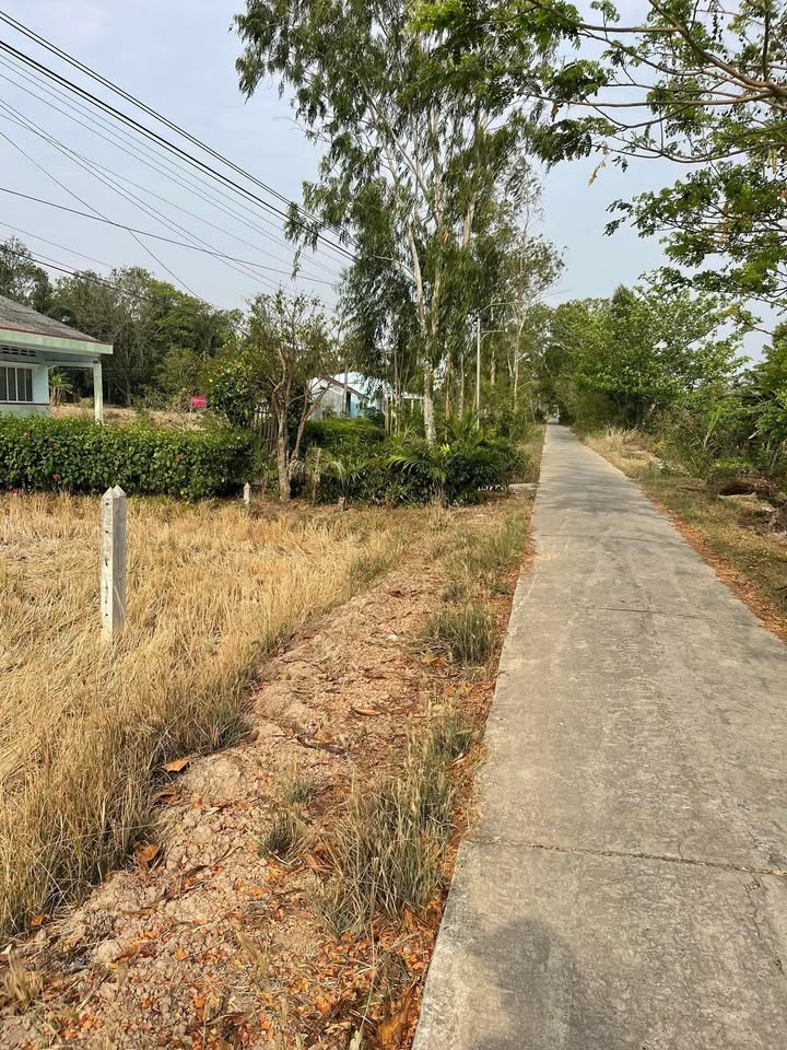 Đất mặt tiền HL 29 Ấp Phú Đức, xã Long Phú, 1008m² - Đầu tư sinh lời ngay!