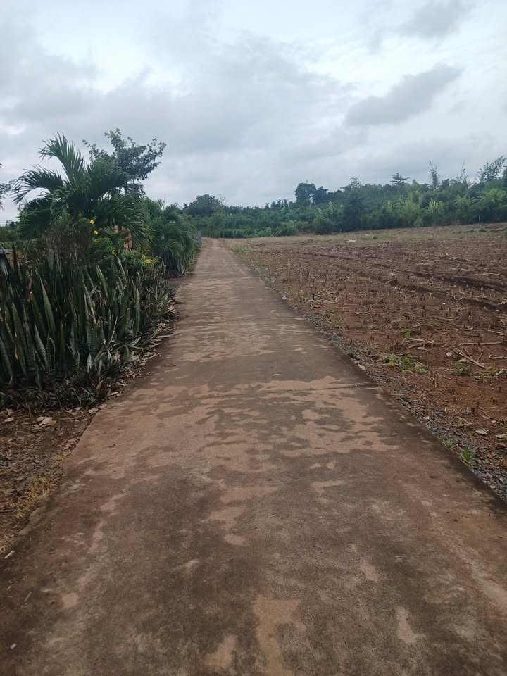 Đất nền Lâm San, Cẩm Mỹ 432m² giá 650 triệu - Đường bê tông, sổ hồng chính chủ!