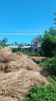 Đất nền Đức Hiệp, Mộ Đức 600m² giá 420 triệu - Cơ hội đầu tư sinh lời!