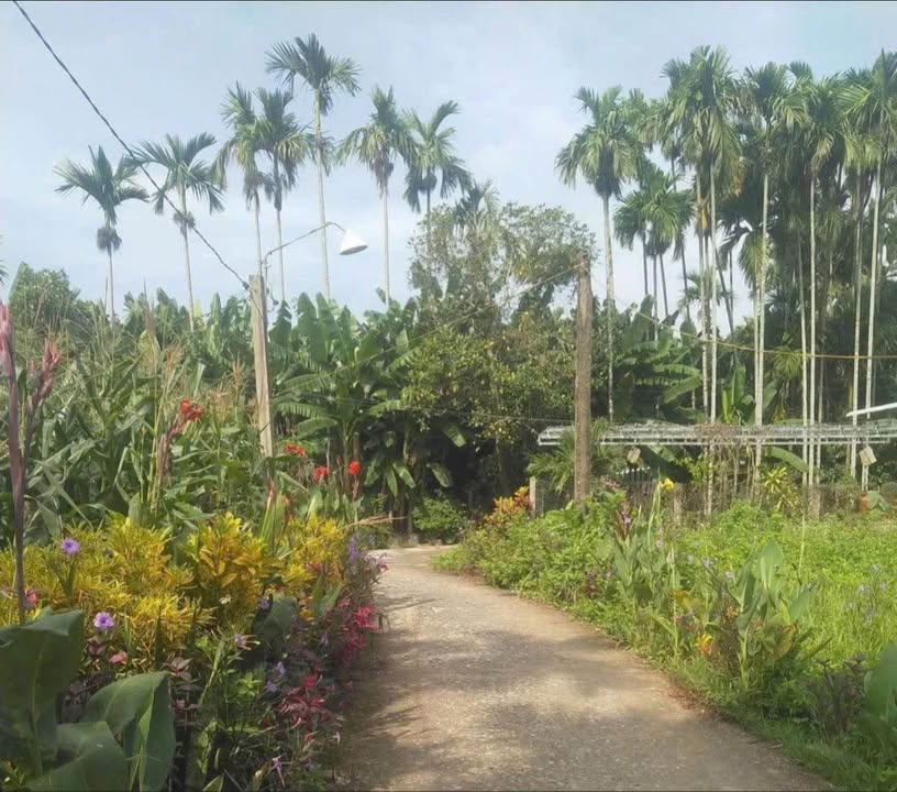 Đất nền La Châu Nghĩa Trung 230m² giá 280 triệu - Bán gấp trong tuần!