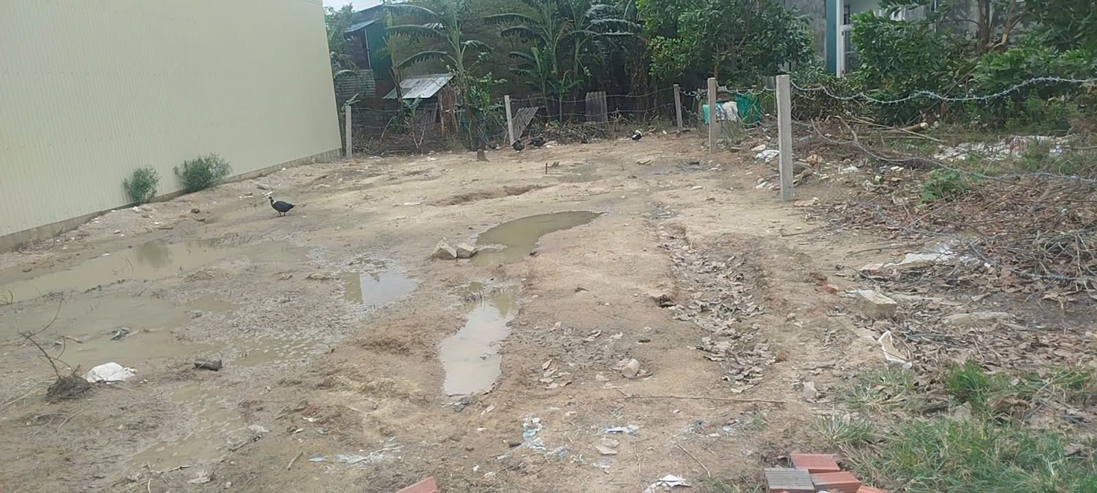 Đất nền Phổ Ninh Đức Phổ 100m² giá 500 triệu - Đường ô tô chạy thông thoáng!