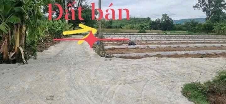 Đất lô góc phường Trà Câu, Đức Phổ 290m² giá chỉ 255 triệu - Cơ hội đầu tư tuyệt vời!