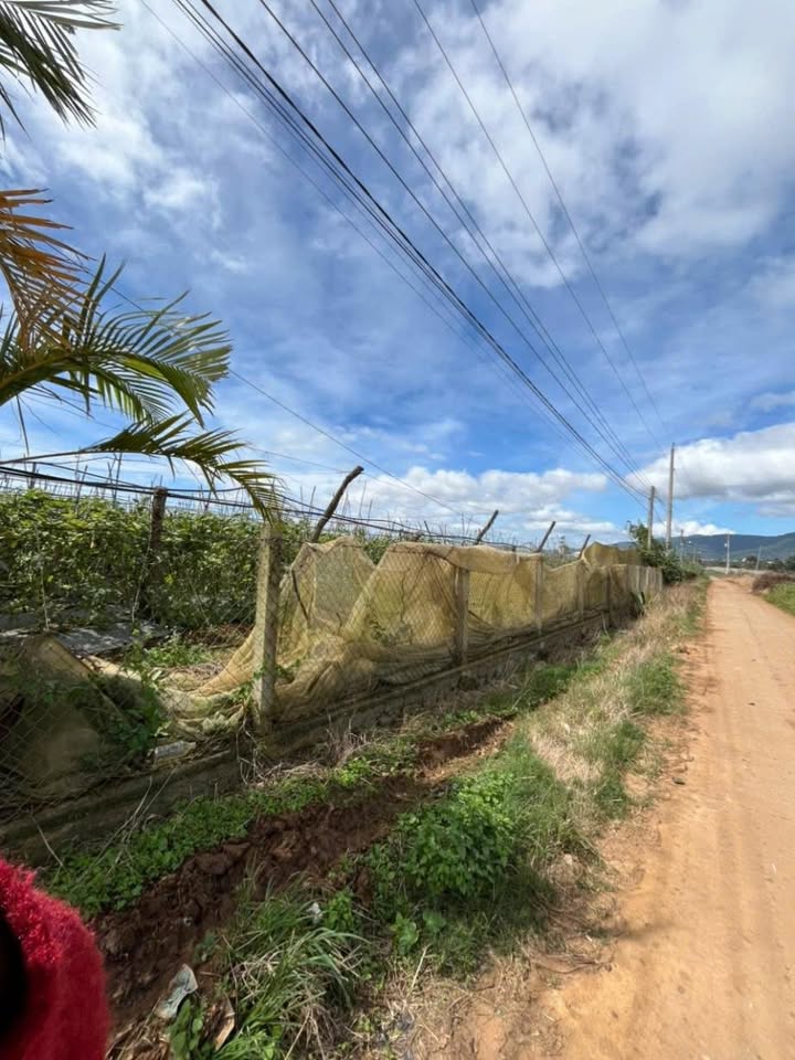 Đất nền Ka Đô Đơn Dương 1184m² giá 1.85 tỷ - Đầu tư sinh lời tiềm năng!