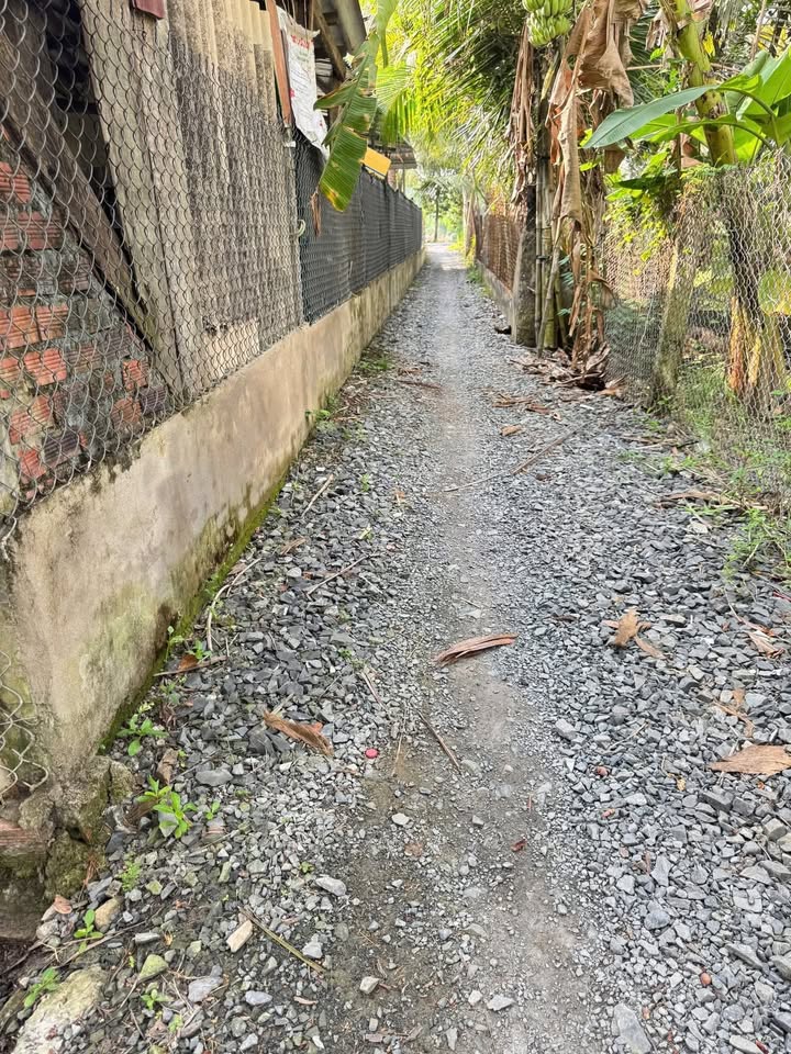 Đất CLN 10.000m² tại ấp An Cư, Tiền Giang giá chỉ 3.5 tỷ - Đầu tư sinh lời ngay!