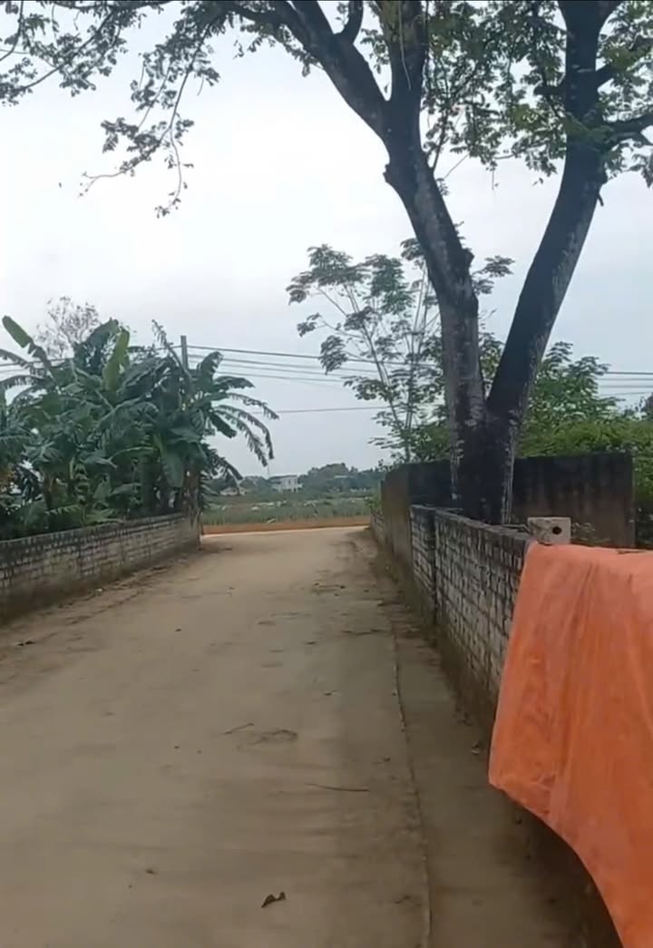 Đất thổ cư 120m² tại Thôn Tân Trung, Quang Sơn, giá 900 triệu - Đầu tư sinh lời ngay!