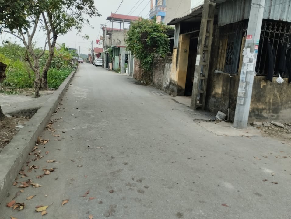 Đất thổ cư Hải Bối, Đông Anh 85m² giá chỉ 5 tỷ - Mặt tiền rộng, xây nhà thoáng đẹp!