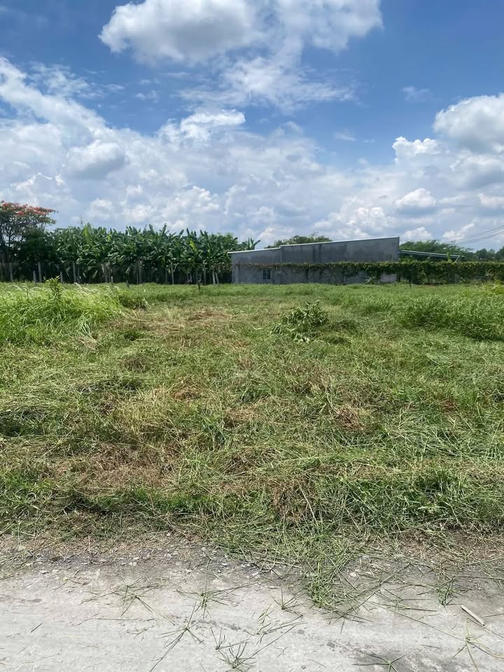 Đất Hòa Khánh Đông 125m² giá 330 triệu - Sổ hồng chính chủ, cần bán gấp!