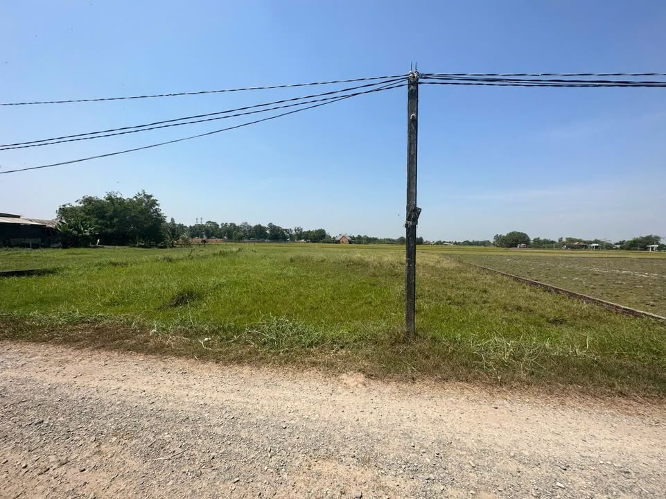 Đất thổ cư Mỹ Hạnh Nam 1350m² giá 6 tỷ - Gần bệnh viện Hàn Quốc!