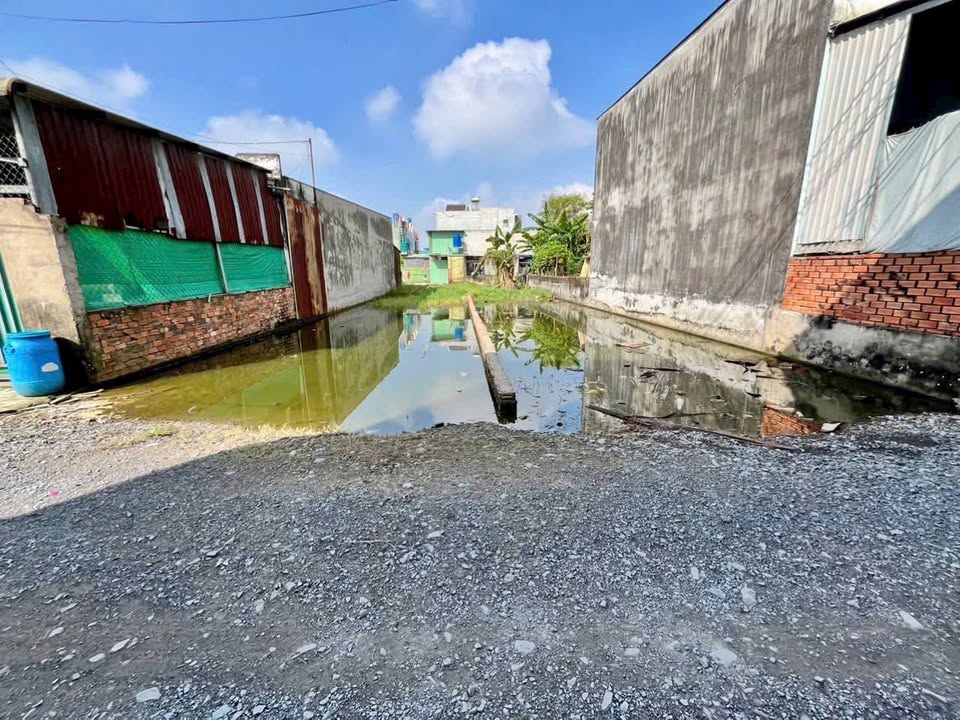 Đất nền 170m² đường Gò Hưu, Đức Hòa, Long An giá 1.55 tỷ - Cơ hội đầu tư sinh lời!