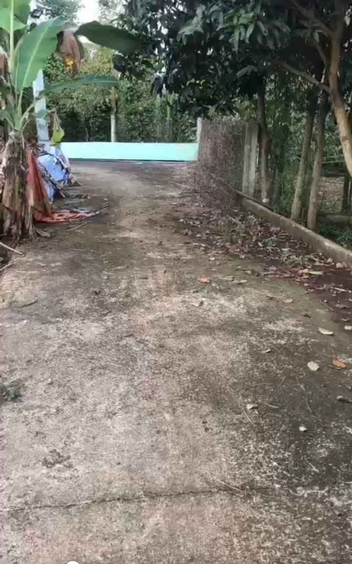 Đất nền Kim Long Châu Đức 120m² giá 550 triệu - Gần chợ và trường học!