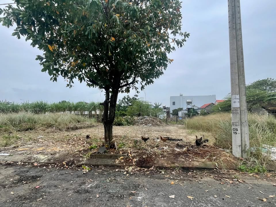 Đất nền dự án Điện Nam Bắc 85m² giá 2.45 tỷ - Vị trí đắc địa ngay chợ