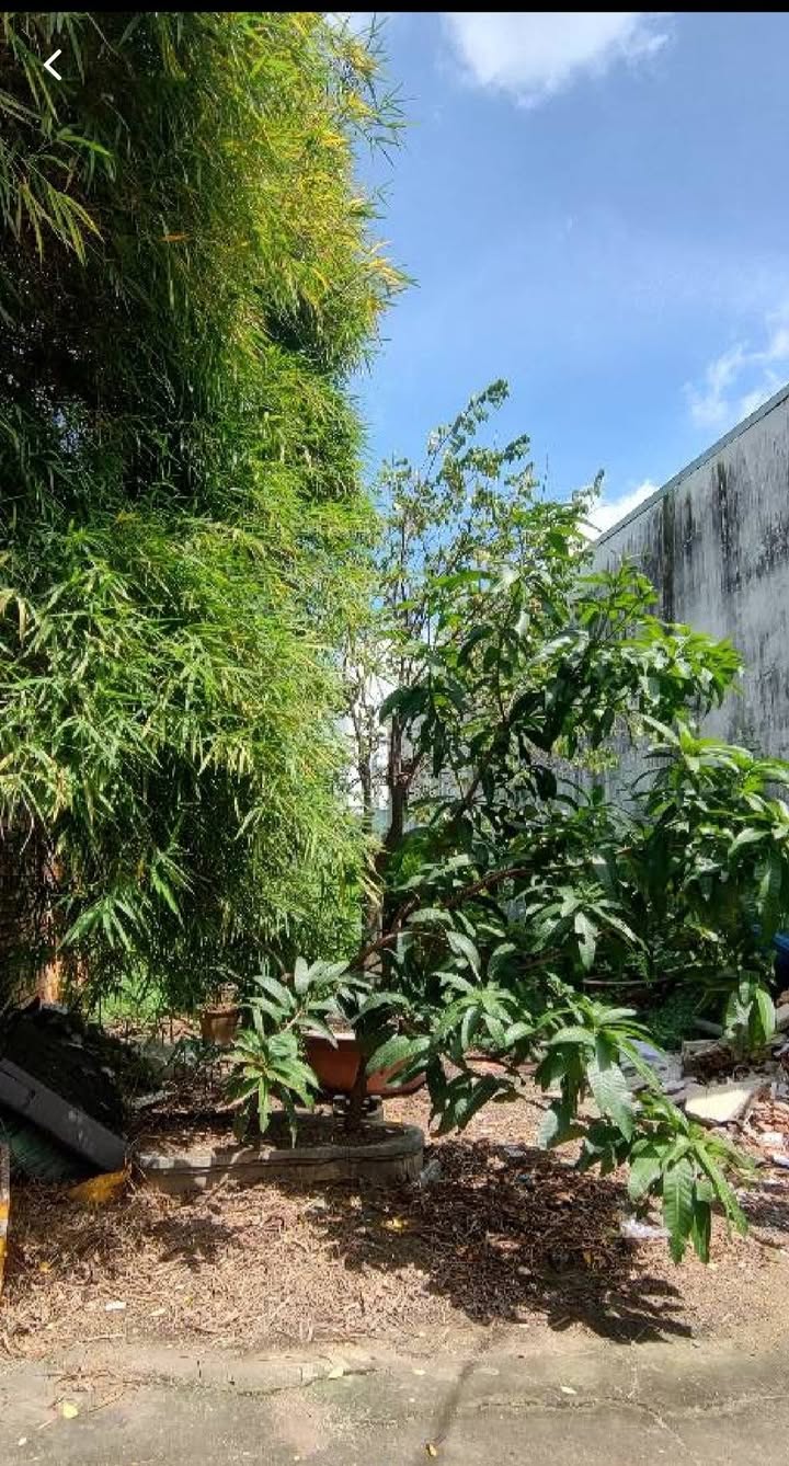 Đất nền Đông Thạnh Hóc Môn 112m² giá 3.5 tỷ - Sổ hồng chính chủ, xe hơi vào tận nơi!