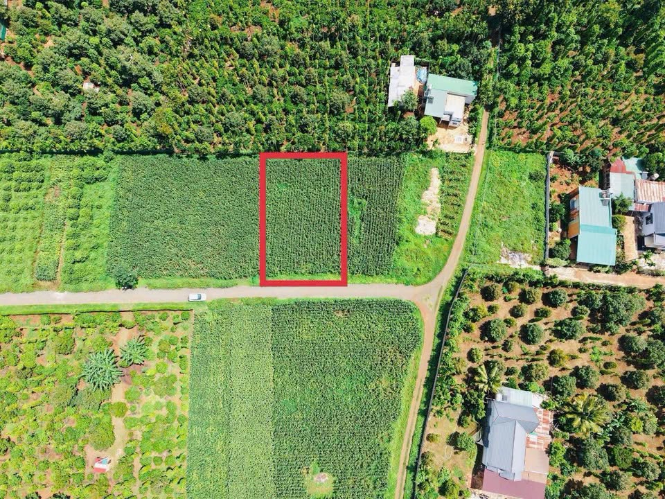 Đất nền Tân An Buôn Ma Thuột 180m² giá chỉ 800 triệu - Cơ hội đầu tư không thể bỏ lỡ!