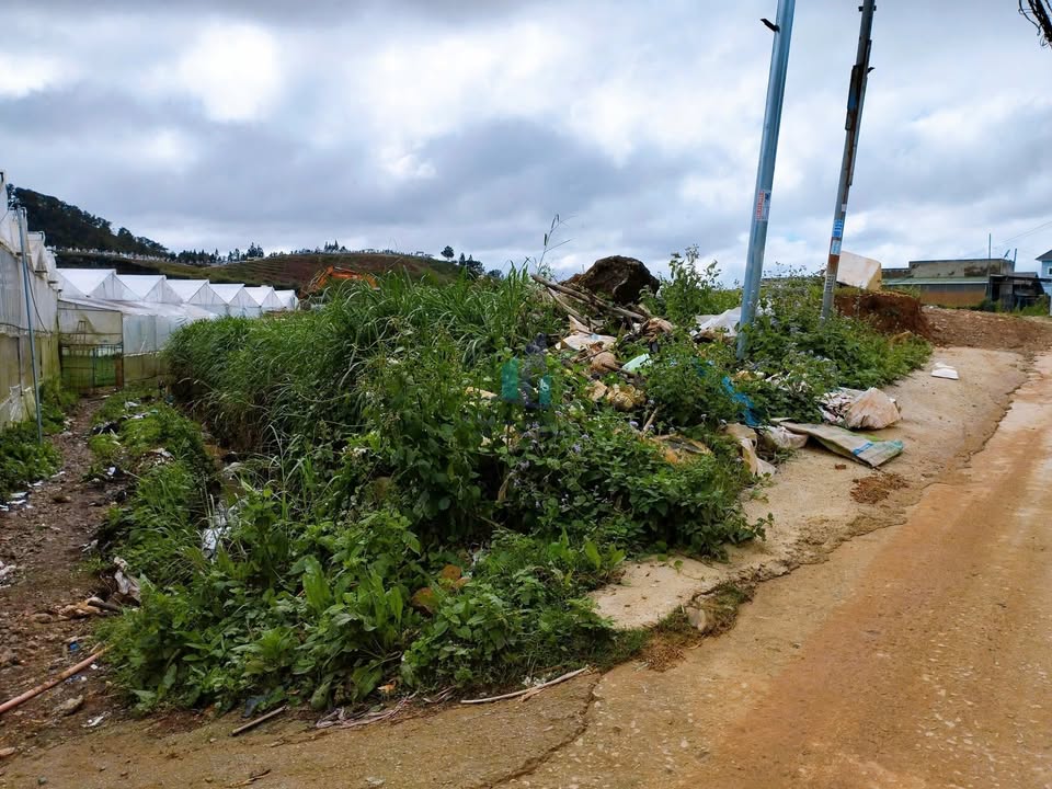 Đất nền Bon Dơng, Lạc Dương 100m² giá 2.35 tỷ - Sổ hồng riêng, xây dựng tự do!