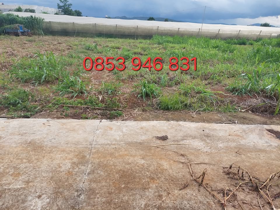 Đất nền đường số 6 Quảng Lập 299m² giá 800 triệu - Cơ hội đầu tư sinh lời!