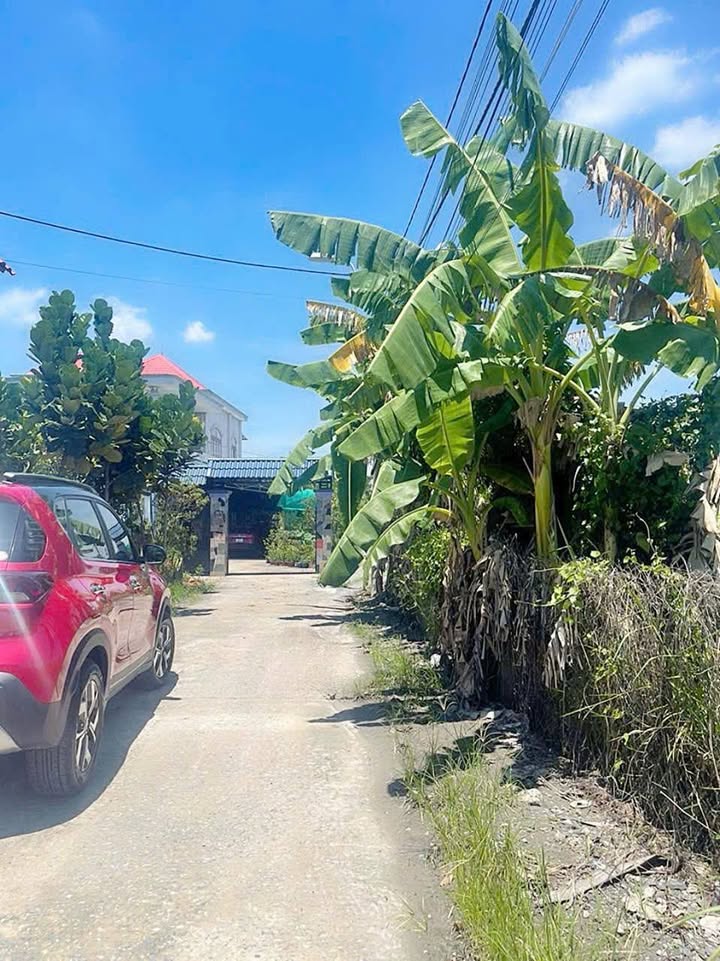 Nhà vườn Hòa Phú, Củ Chi 5.477m² giá 19 tỷ - Đầu tư sinh lời ổn định!