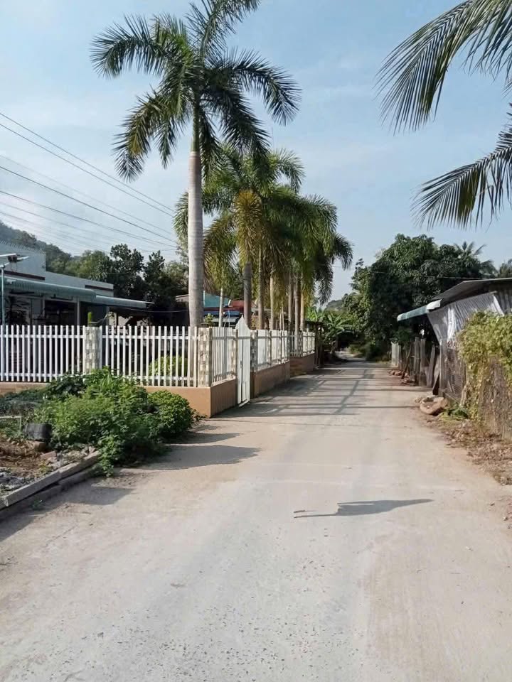 Đất thổ cư và ruộng Thạnh Quới, Vĩnh Thạnh, Cần Thơ 1200m² giá 2.5 tỷ - Đầu tư sinh lời hấp dẫn!