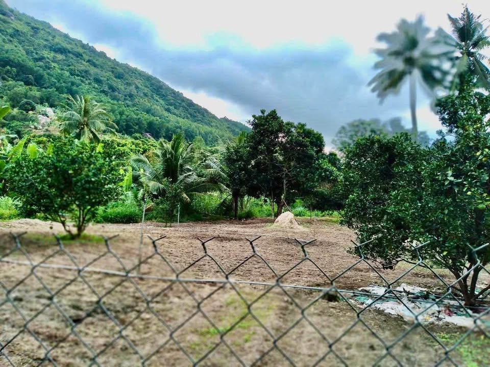 Lô Đất Vườn 3578m² tại Phước Đồng, Nha Trang giá 6.2 tỷ - Cơ hội đầu tư tuyệt vời!