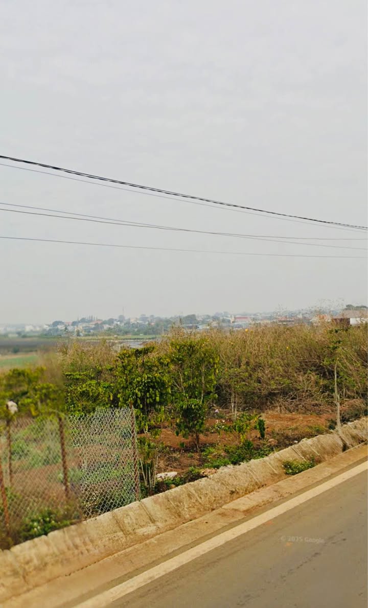 Đất đẹp gần 2 sào mặt tiền đường Bồng Lai, Hiệp Thạnh - Giá chỉ 9 tỷ!