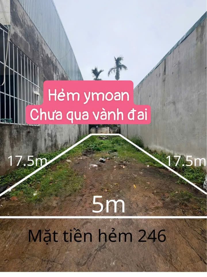 Đất mặt tiền hẻm 246 Y Moan, Tân Lợi 87m² giá 2.75 tỷ - Tiềm năng kinh doanh lớn!