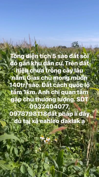 Đất nền Eahleo 20,000m² giá thỏa thuận - Sổ đỏ chính chủ!