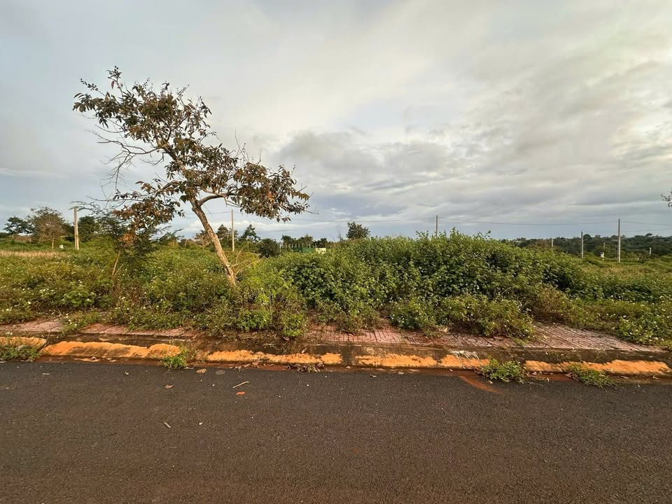 Đất nền KĐT Palama (An Lạc) 120m² giá 1.75 tỷ - Hướng Tây Bắc, sổ đỏ chính chủ!