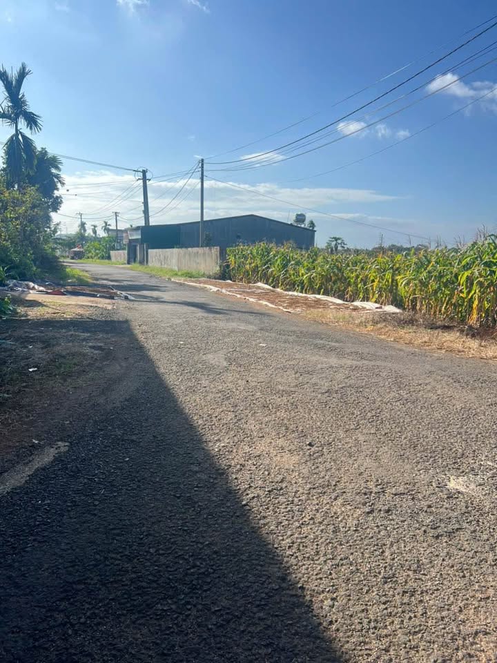 Đất thổ cư 200m² tại phường Ea Kao, Buôn Ma Thuột giá 850 triệu - Đầu tư sinh lời ngay!