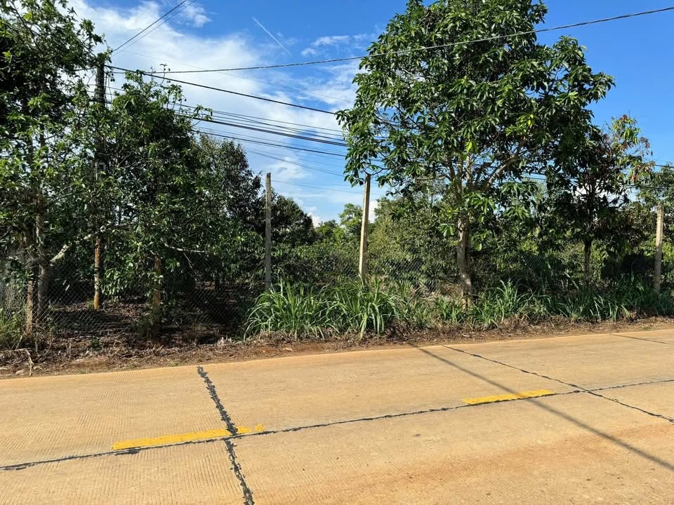 Đất mặt tiền QL29 xã Ea Drong 675m² giá 2.45 tỷ - Kinh doanh thuận lợi!