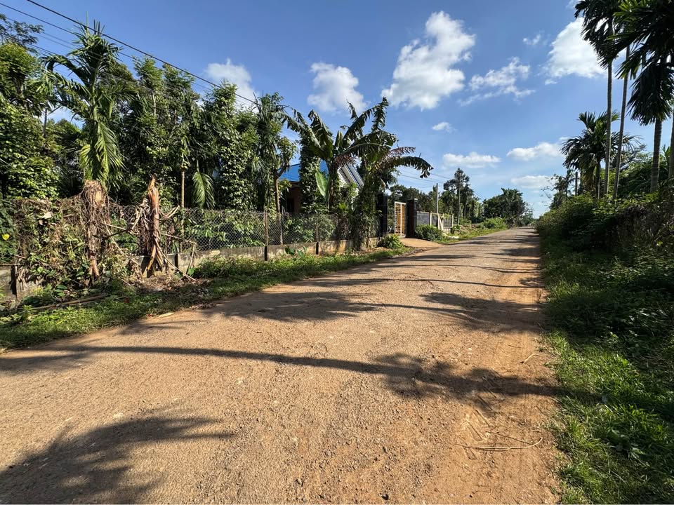 Đất nền Ea Ktur 300m² giá 820 triệu - Mặt tiền đường nhựa, sổ đỏ chính chủ!