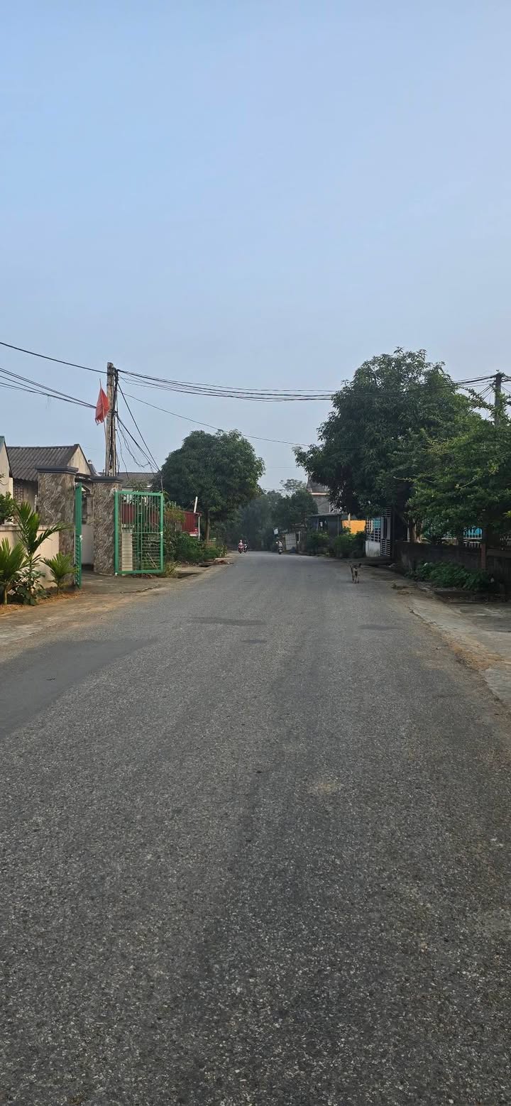 Đất nền Chân Mộng Đoan Hùng 228m² giá 10 tỷ - Vị trí cực đẹp cho kinh doanh!