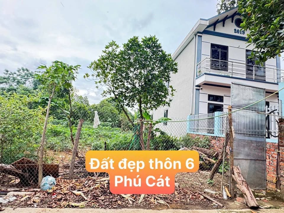 Lô đất 1.100m² Thôn 6, xã Phú Cát - Giá rẻ nhất khu vực, pháp lý rõ ràng!