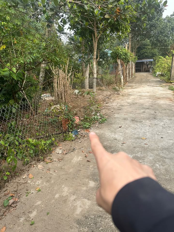 Đất vườn Tân Xã Thạch Thất 500m² giá 1 triệu/m² - Cơ hội đầu tư tuyệt vời!