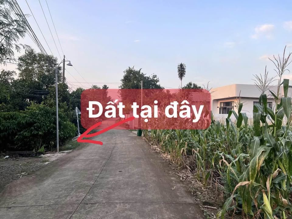 Đất thổ cư xã Phú Tân, huyện Định Quán 117m² giá chỉ 295 triệu - Đầu tư sinh lời ngay!