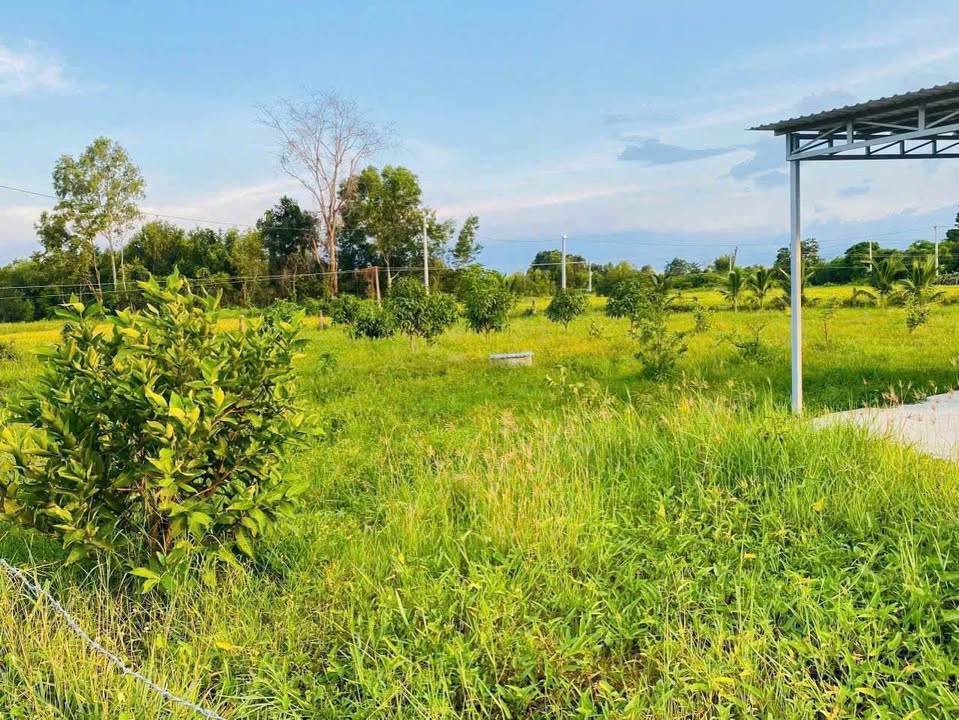 Đất nền Hàm Chính, 1600m² - Sổ hồng riêng, giá chỉ 560 triệu!