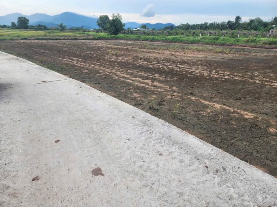 Đất nền 1800m² tại Hàm Liêm, Bình Thuận giá chỉ 800 triệu - Cơ hội đầu tư hấp dẫn!