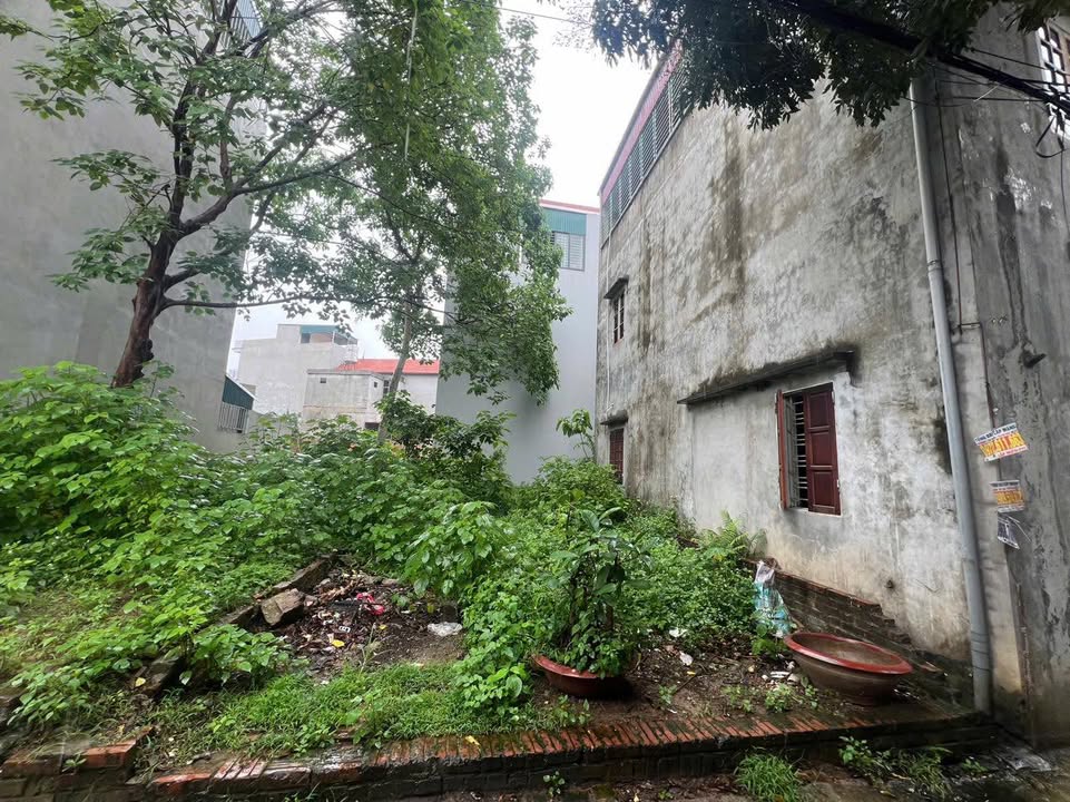 Đất nền Trung Hưng, Sơn Tây 46m² chỉ 2 tỷ - Vị trí đắc địa, khu dân cư văn minh!