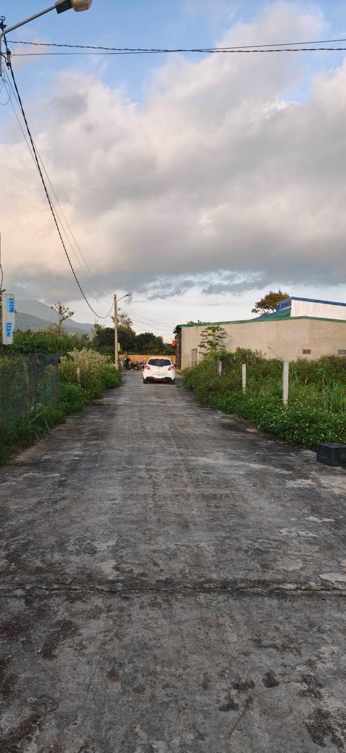 Đất thổ cư Hiệp Thạnh, Lâm Đồng 110m² chỉ 1,05 tỷ - Cơ hội đầu tư tuyệt vời!