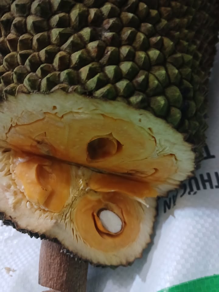 Đất nền Phước Thới, Ô Môn, Cần Thơ 30.000m² giá 9.6 tỷ - Tiềm năng đầu tư lớn!