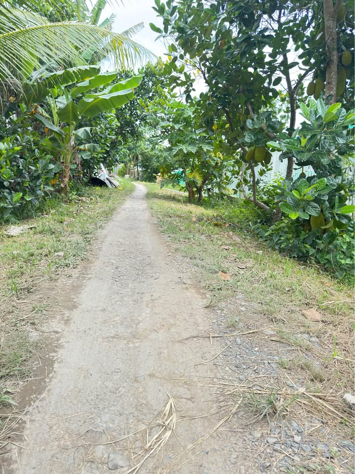 Đất thổ cư Long Hồ Vĩnh Long 100m² chỉ 300 triệu - Cơ hội đầu tư sinh lời!