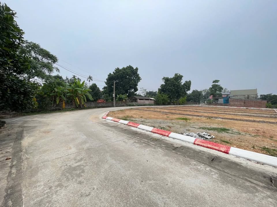 Đất nền Cẩm Lĩnh, Ba Vì 123m² giá 1 tỷ - Sổ đỏ chính chủ, thuận tiện giao thông!