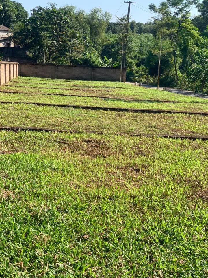 Đất thổ cư Vật Lại, Ba Vì 100m² giá 600 triệu - Cơ hội đầu tư tốt!