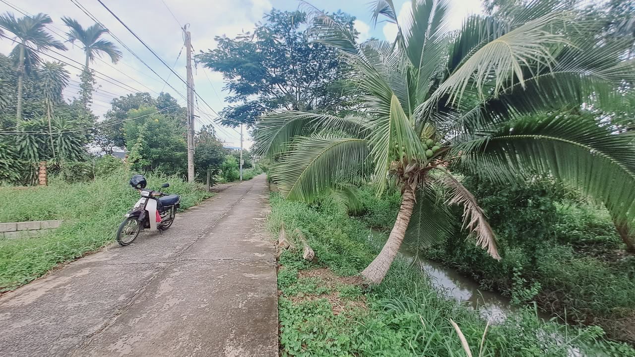 Đất nền Phong Nẫm 427m² giá 1.5 tỷ - Sổ đỏ riêng, thương lượng tốt!