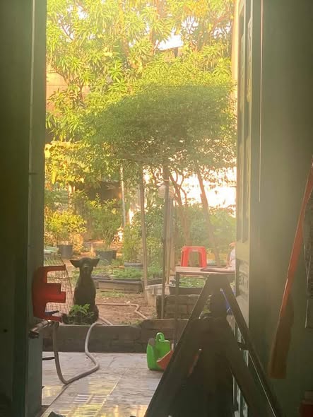 Nhà mặt tiền đường nhựa Trảng Bom 286m² giá 3.6 tỷ - Kinh doanh thuận lợi!